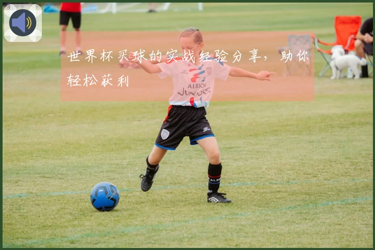 世界杯买球的实战经验分享，助你轻松获利