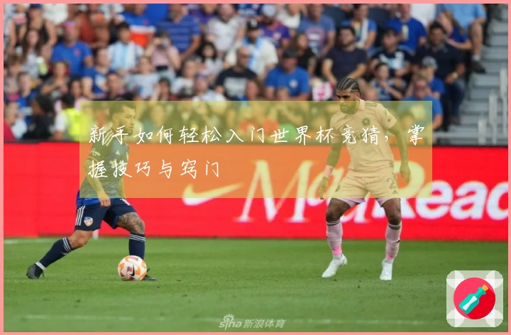 新手如何轻松入门世界杯竞猜，掌握技巧与窍门
