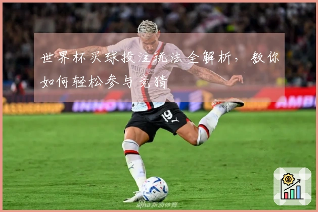 世界杯买球投注玩法全解析，教你如何轻松参与竞猜