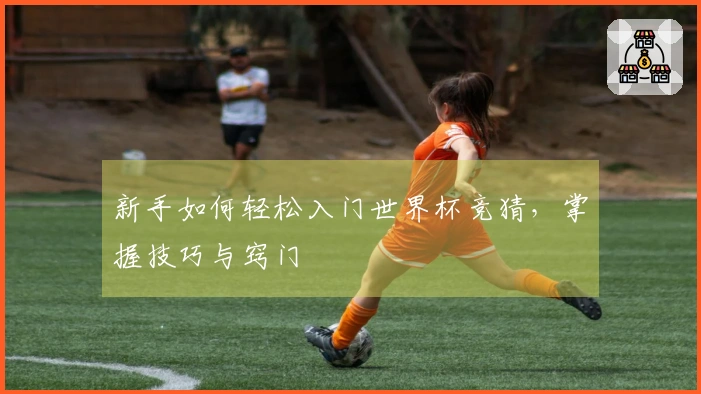 新手如何轻松入门世界杯竞猜，掌握技巧与窍门