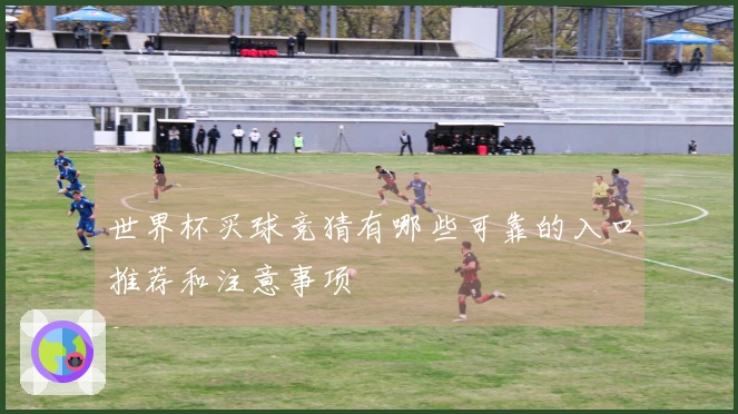 世界杯买球竞猜有哪些可靠的入口推荐和注意事项