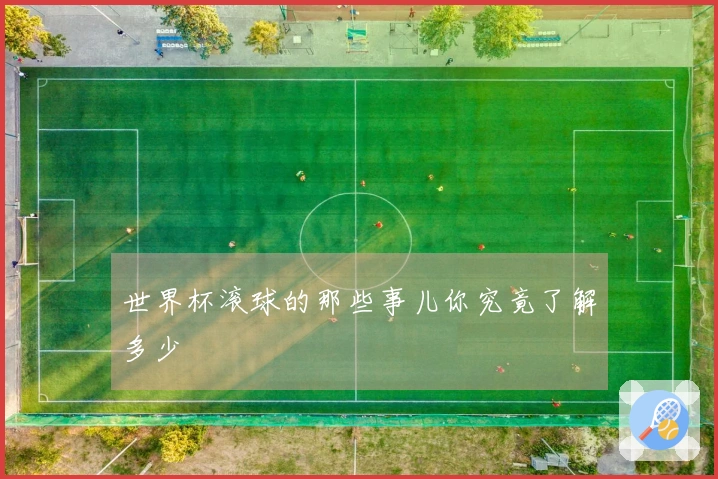世界杯滚球的那些事儿你究竟了解多少