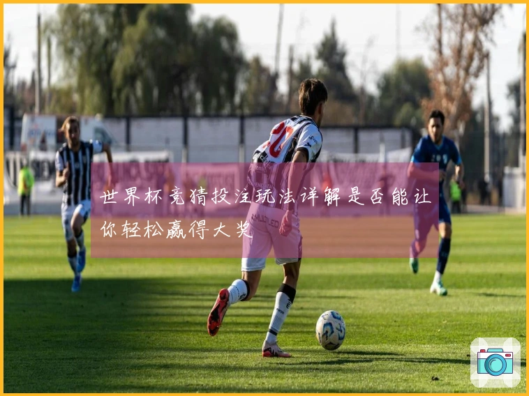 世界杯竞猜投注玩法详解是否能让你轻松赢得大奖