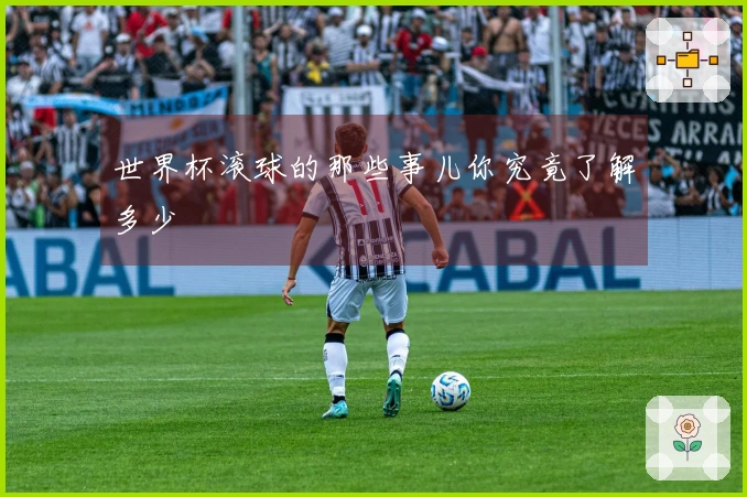 世界杯滚球的那些事儿你究竟了解多少