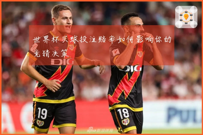 世界杯买球投注赔率如何影响你的竞猜决策